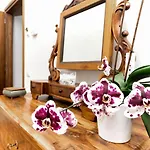 B ＆ B エルコレ ディ 4*